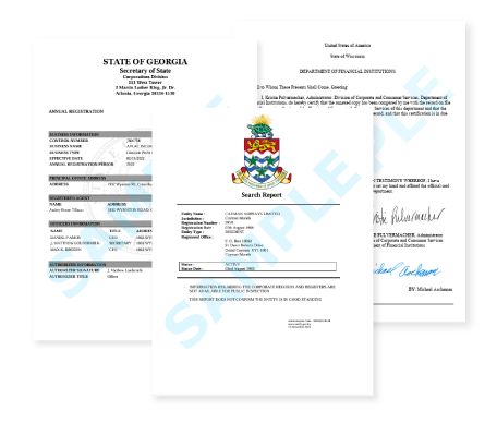 海外登記情報のサンプル書類